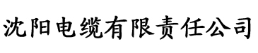 理论片午午伦夜理片I电缆厂logo